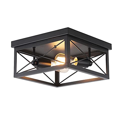 12 inch Industrial Flush Mount Ceiling Light Fixture,2-Light Square Cage Ceiling lamp,Modern Farmhouse Style for Hallway,Living Room,Bedroom, Kitchen, Porch,Laundry Room Black Finish
