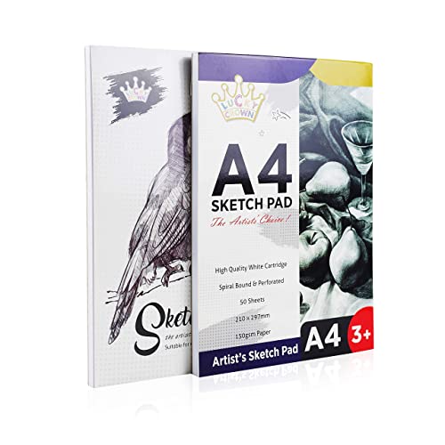 Deluxe Art Supplies, 88 Pieces Art Set In Portable Wooden Case, With 2 Drawing Books And 4 Canvas Panels, Professional Art Set For Painting & Drawing, Art Kit For Kids, Teens And Adults/Gift #TOP4