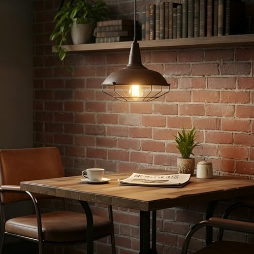 Image of DAYCENT Barn Style Pendant Light Farmhouse Caged Pendant Lighting Industrial Metal Wire Hanging Pendant Light Barn Pendant Light Fixtures for Kitchen Island Hallway Foyer, Rust Finish