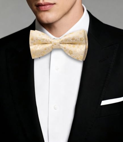 Image of Dubulle Mens Paisley Striped Bowtie Set Pre-tied Bowtie for Men and Pocket Square Set Wedding Business