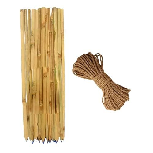 Bamboo Sticks for Plants Support (Set of 10) 3 Feet, 91cm Used to Support Climbers Money Plant & Other Saplings (36 INCH)