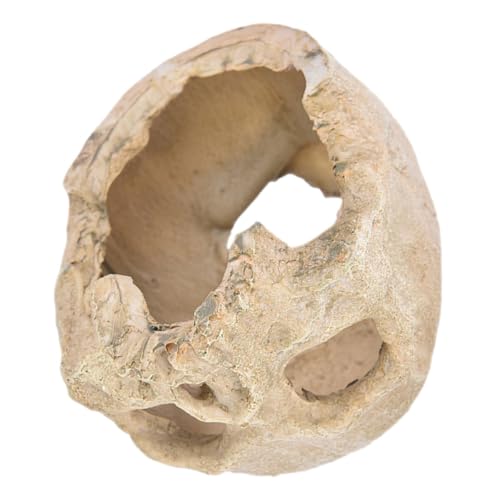 Luxshiny pAW ঒ރVF^[ B ANAEpAI[ig