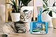 Fresh Step 4-in-1 Deluxe-Katzenstreu-Reinigungsset – Reinigungszubehör für Katzenstreu, inklusive Katzenschaufel, Staubwanne, Besen und Caddy für einfache Reinigung