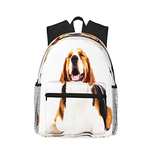 Sac à dos pour homme et femme adapté au transport d'animaux de compagnie