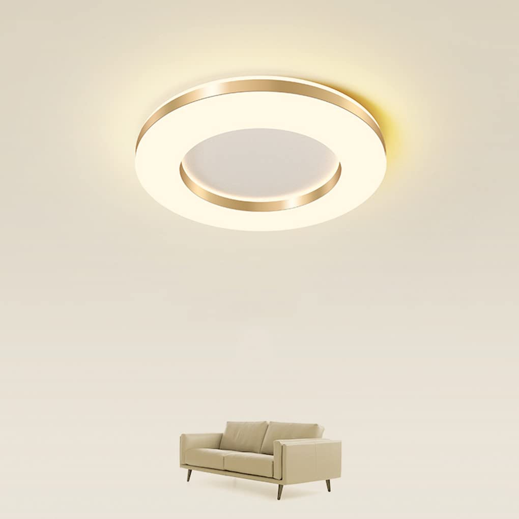 Zi Yang LED Lámpara de Techo Dorado Corredor Plafón Techo Hecho de Metal/acrílico Moderno 12W Blanco cálido 3000K por Pasillo Cuarto de baño Balcones Pasillos Cocina Dormitorio 20 * 4.5 CM