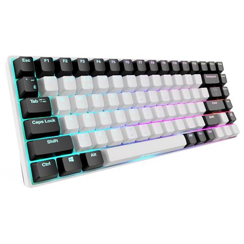 Sharkoon Skiller Sgk50 S3 Tastatur Gaming Usb Qwerty Russisch Wei? (4044951039678)
