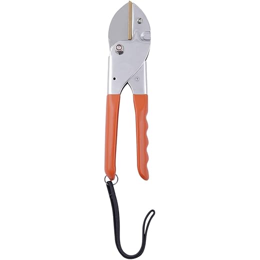 Falcon Super Pruning Secateur (Steel, Multicolor)