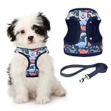 KOOLTAIL Dog Harness and Leash Set for Small Medium Dogs, Step in No Pull Soft Mesh Dog Harness Comfort Padded Pet Vest, Adjustable Reflective Easy Walking Puppy Cats Harness Training, Dinosaur S