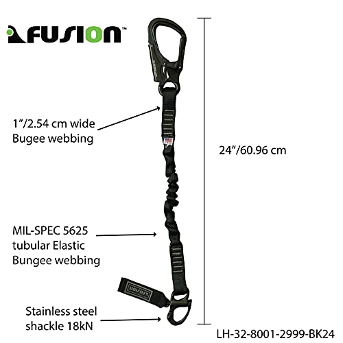 Image of Fusion Fusion
