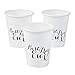 Fun Express Best Day Ever Plastic Cups - 150 Pc. - Party Supplies - 150 Pieces