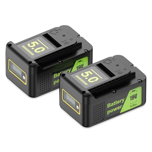 2X 18V 5Ah Batería de Repuesto para Karcher, Compatible con Todos los Equipos de la Plataforma de batería de 18 V Kärcher Battery Power