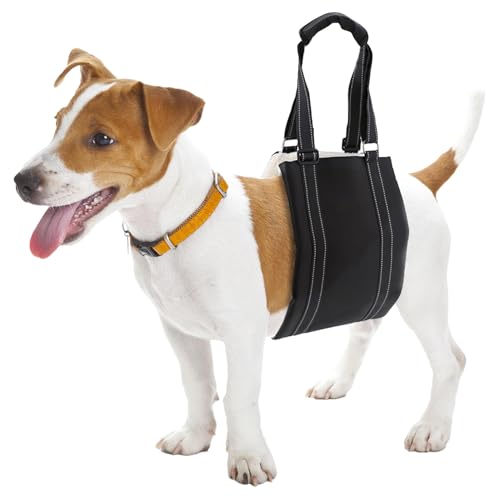 QWORK® Hundegeschirr Einstellbar (L), Hund Tragehilfe Tragegurt Hund Hinten Lift Support Geschirr für Behinderte, Verletzte, Ältere Hunde