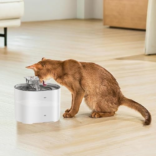 Fuente automática de agua para gatos con filtro 2.2L miniatura 6
