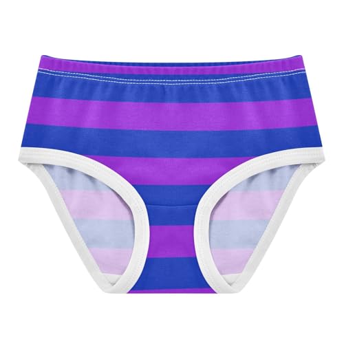 Purple Navy Stripe Toddler Girls's Underwear 2T