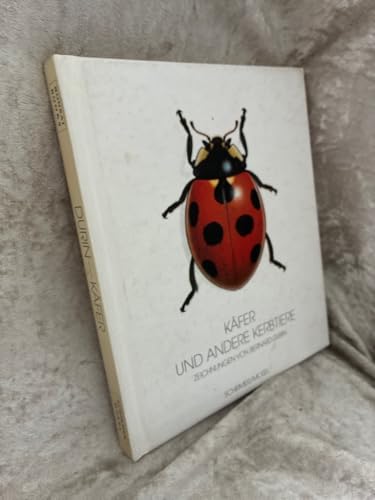 Käfer und andere Kerbtiere