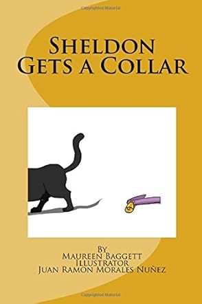 Sheldon Gets a Collar