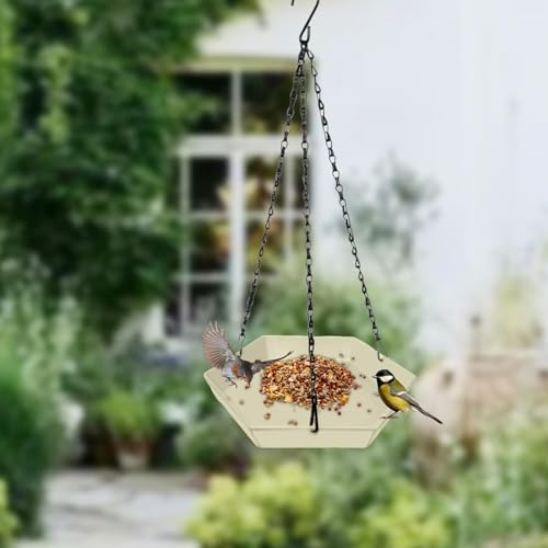 Mangeoire oiseaux suspendue facile a nettoyer pour eviter les bacteries