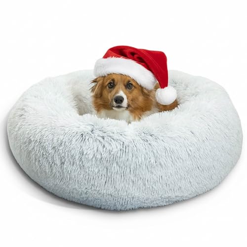 calming dog bed