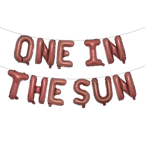 One In The Sun Balloons,First Trip Around The Sun Party Decorations,1st Trip Around The Sun Birthday Banner,Sun Birthday Party Decor (ONE IN THE SUN Chocolate)