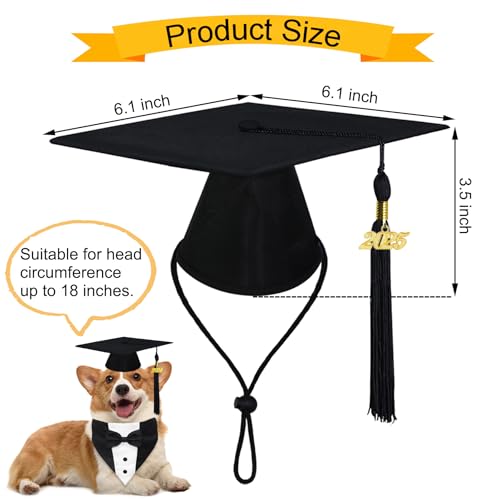 Disfraz para perro con gorra y collar de graduación miniatura 3