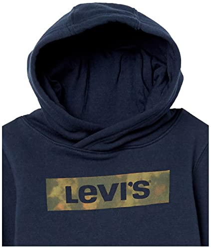 Image of Levi's Graphic Pullover Hoodie