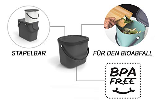 Rotho Albula Biomülleimer 6l mit Deckel für die Küche, Kunststoff (PP) BPA-frei, anthrazit, 6l (23,5 x 20,0 x 20,8 cm) – Bild 4