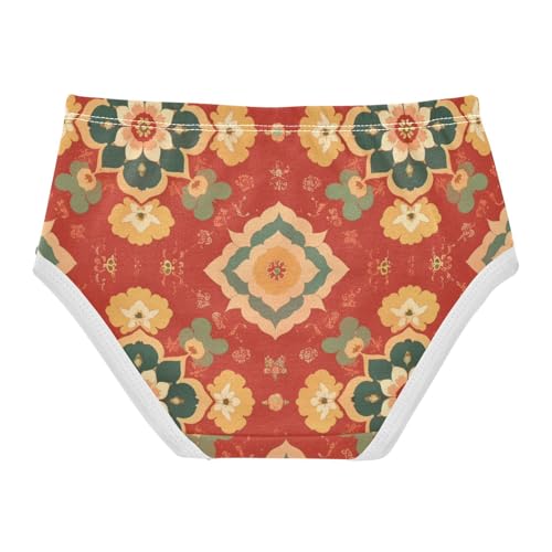 Geometric Flower Pattern Ar Daily Wear Girls' Panties Organic Underpants for Baby Girls in Sizes 2T,3T, 4T, 5T, 6Y and 8Y2