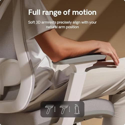 Desktronic Adjustable Ergonomic Office Desk Chair with lumbar support - Back-friendly/Back Pain-free - Computer Chair Height-Adjustable & Back-Protecting -Wide cushion SitPro (Gray)