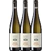 GrÃ¼ner Veltliner Federspiel Terrassen von DomÃ¤ne Wachau – WeiÃwein 3 x 0,75l VINELLO – 3er – Weinpaket inkl. kostenlosem VINELLO.weinausgieÃer