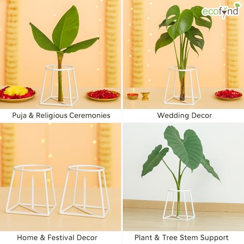 Image of ecofynd Metal White Banana Plant Stand, Pack of 2 Heavy Decorative Leaf Stand for Plant, Tree, Stem, Ideal for Home Festival Decor, Placing Puja, Religious & Other Ceremonies Use