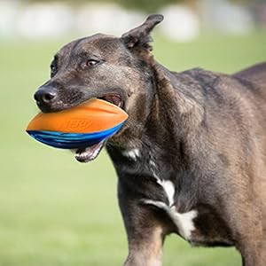 Nerf Dog Rubber Football Dog Toy with Interactive Squeaker, Lightweight, Durable and Water Resistant, 6 Inches, for Medium/Large Breeds, Single Unit, Blue and Orange Nerf Dog Rubber Football Dog Toy with Interactive Squeaker Lightweight Durable and Water Resistant 6 Inches for MediumLarge Breeds Single Unit Blue and Orange