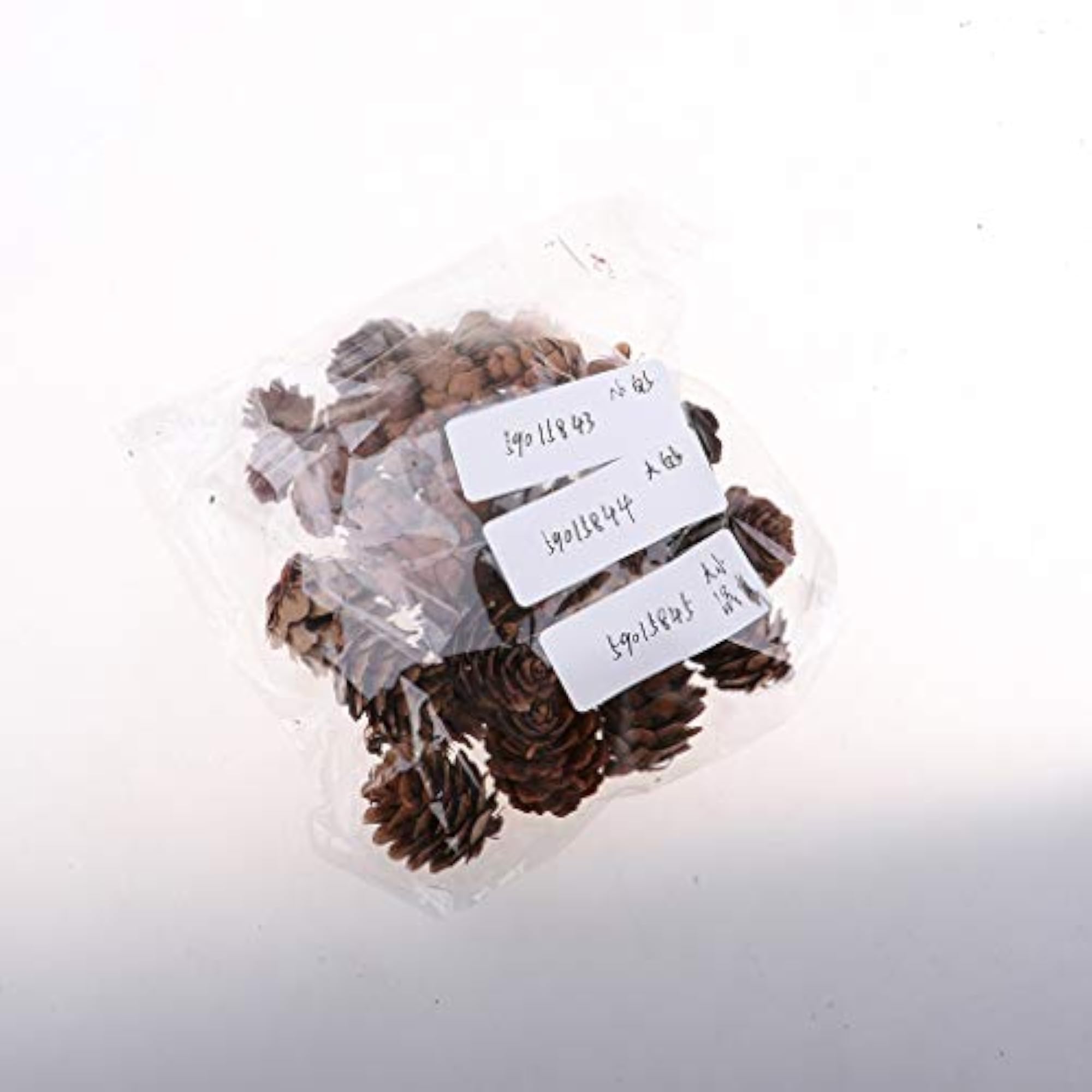 50 Pieces Mini Decorative Pinecone for Crafts