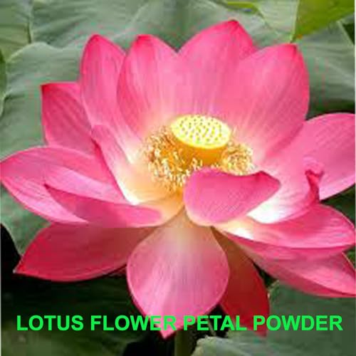 Iagrifarm Lotus Flower Petal Powder - 100 g - Kamal Phool/Thamarai Poo Powder