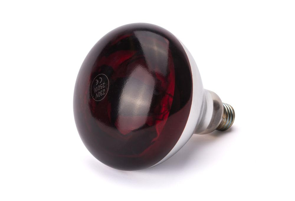 HENDI Bombilla de calentamiento por infrarrojos - 230V / 250W - ø125x(H)170 mm