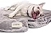 Friends Forever Durable Dog Blanket for Couch Protection, Two Tone Reversible Pet Hair Resistant Blanket for Dogs Cats Bed Kennel Crate Car Seat - Soft Velvet, Warm Fleece, Bailey 53