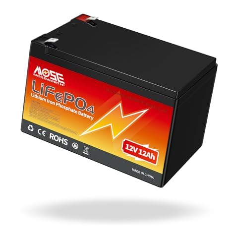 12V Lithium Battery, Lifepo4 Battery 12AH, for Kids Scooters, Solar Power, Small UPS, Gate Opener, Fish Finder Outdoor Camping Cover