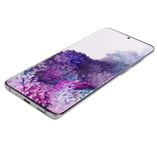 S20 Plus 5G SM G986B LCD fBXvCAZu^b`XN[pdb NAXN[ dbCZpҗp (O[)