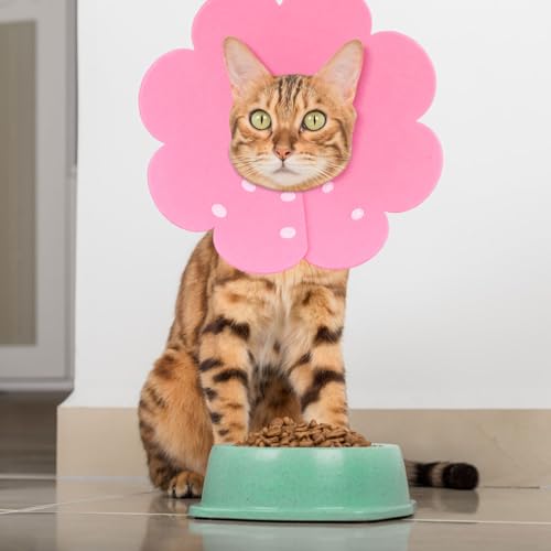 Amexo 3 Stücke Katze Schutzkragen Soft Halskrause Katzen Halsband Anti Biss Halskragen Katze Schützender Kragen für Katzen Welpen M (Rosa, blau, lila, M)