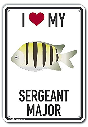 Panneau en plastique rigide I Heart My Sergent Major PKAS-0308-NP