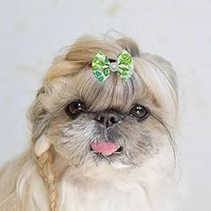   30Pcs-Dog-BowsDog-Puppy-Hair-Bows-with-Rubber-Bands-Rhinestone-PearlsCute-Pet-Small-Dog-Hair-Bowknot-Grooming-AccessoriesClover-Sunflower