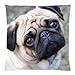 Violetpos Kissenhülle Deko Charming Mops-Hund Sofa Zierkissenbezug Auto Zierkissenbezüge Kissenbezüge Bettwaren & Bettwäsche Kopfkissen Kissen 40 x 40 cm
