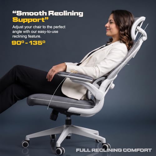 Image of DROGO Vesby Ergonomic Office Chair for Work with Dual Adaptive Lumbar Support | Breathable Mesh Computer Chair with 3D Headrest & Armrest | Gaming Chair with 135 Recline, 1-Yr Warranty(LightGrey)