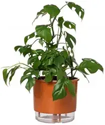 Vaso Autoirrigável Grande N04 21cm x 19cm - Terrazzo Terracota