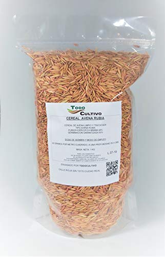 Blonde Oatmeal Treated to Sow 1 Kilo.Facilitates Digestion of Cats by Removing Annoying Hair Balls.