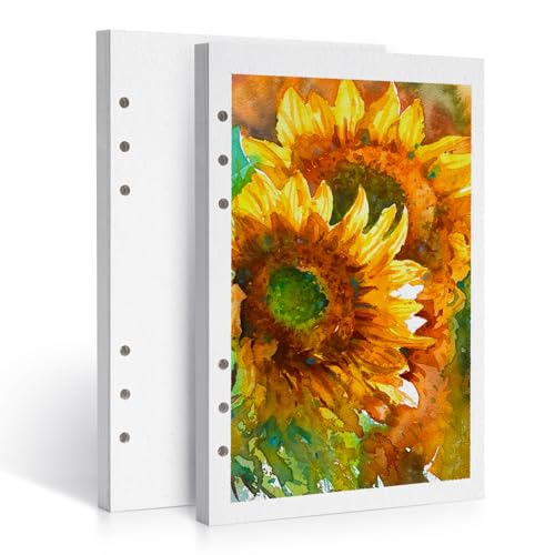 LIGHTWISH Carta per acquerelli, 100% cotone, pressata a freddo, 300 g/m², confezione da 2, totale 40 fogli A5, carta sostituibile perforata per artisti, adulti, studenti, 14 x 20 cm
