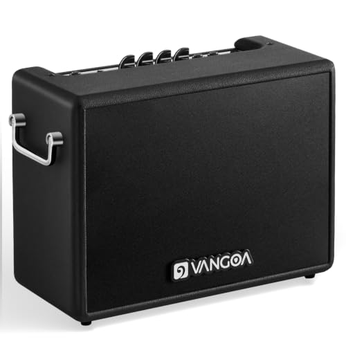 Image of Vangoa 30W Bass Amp Portable 8 inch Speaker for Home Practice, Small Room Jams