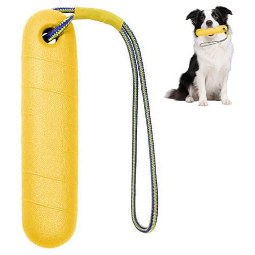 Giocattolo per cani, giocattolo acquatico per cani, 22 cm, giocattolo interattivo, giocattolo per cani, gioco d'acqua con corda in nylon, giocattolo per cani di taglia media, grande (giallo)
