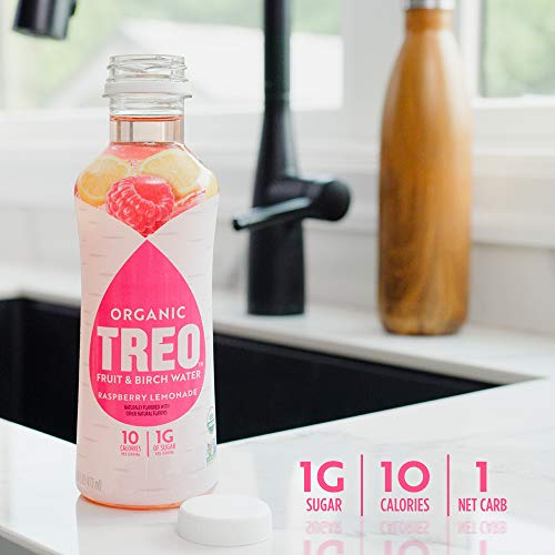 Treo Fruit & Birch Water Drink, Raspberry Lemonade, USDA Organic, Non-GMO Project Verified, Vegan, Gluten-Free, 10 Calories & 1g of Sugar Per Serving, Good Source of Vitamin C, 16 fl oz, Pack of 12 - Thumbnail 7