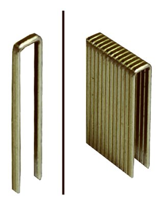 1 K 1,5 "18ga galvanizado grapas Cover