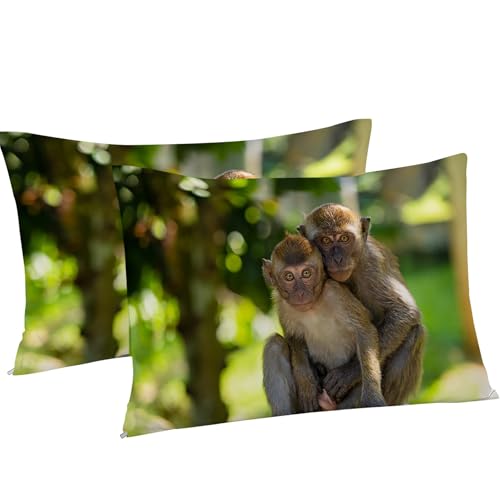 Housse de couette singe 220x240 sans repassage parure lit douce - 5